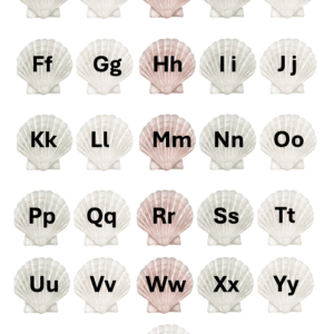 ABC Shells Sheet for Sensory Bag